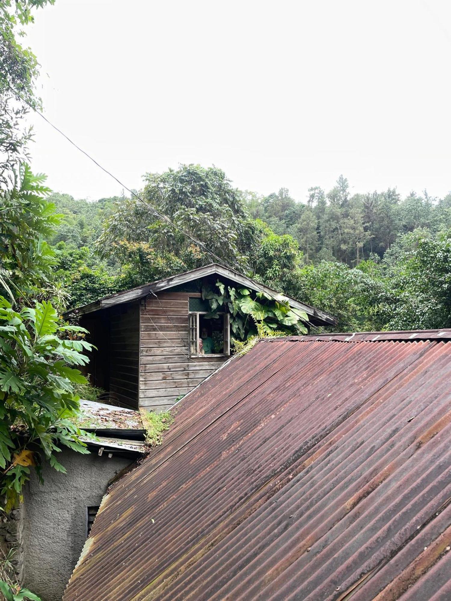 Dustry Cottages Кингстън Екстериор снимка